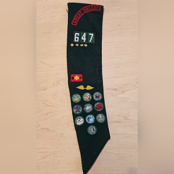 Vintage Girl Scout Dress - Picture 11 of 13